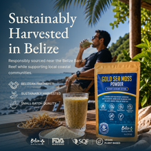Belize Gold Sea Moss - Powder (Eucheuma Cottonii)