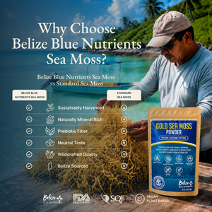 Belize Gold Sea Moss - Powder (Eucheuma Cottonii)