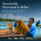 Belize Gold Sea Moss Trinity Blend