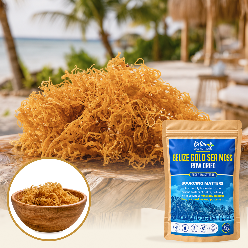 Belize Gold Sea Moss - Raw Dried (Eucheuma Cottonii)