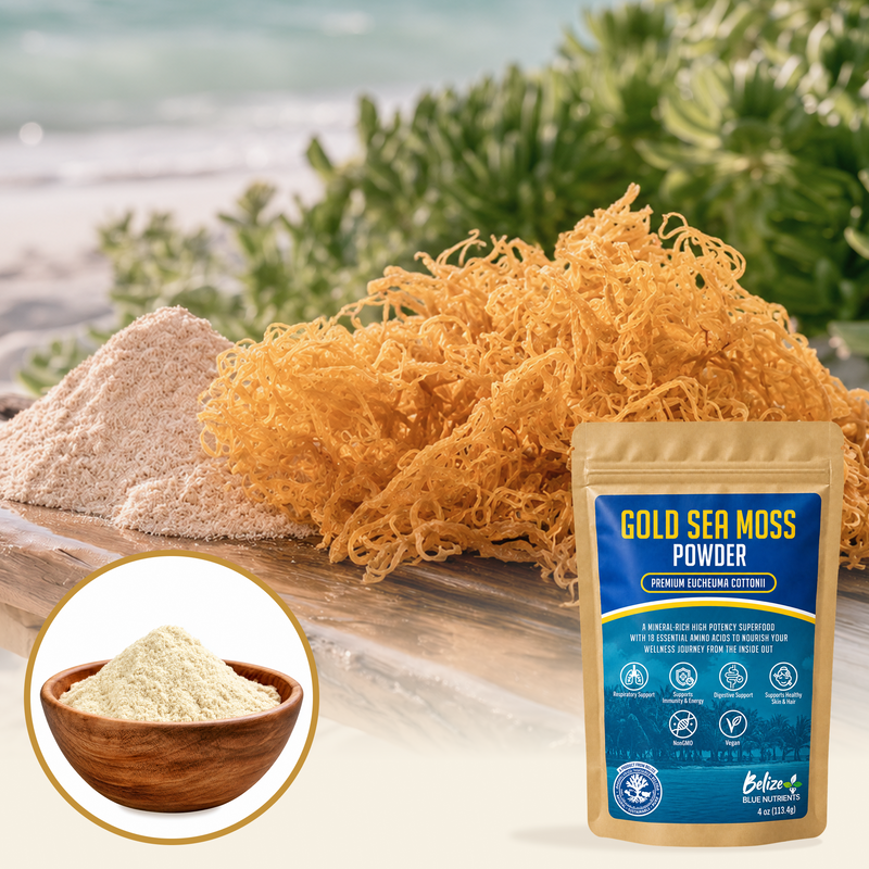 Belize Gold Sea Moss - Powder (Eucheuma Cottonii)