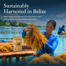 Belize Gold Sea Moss Trinity Blend