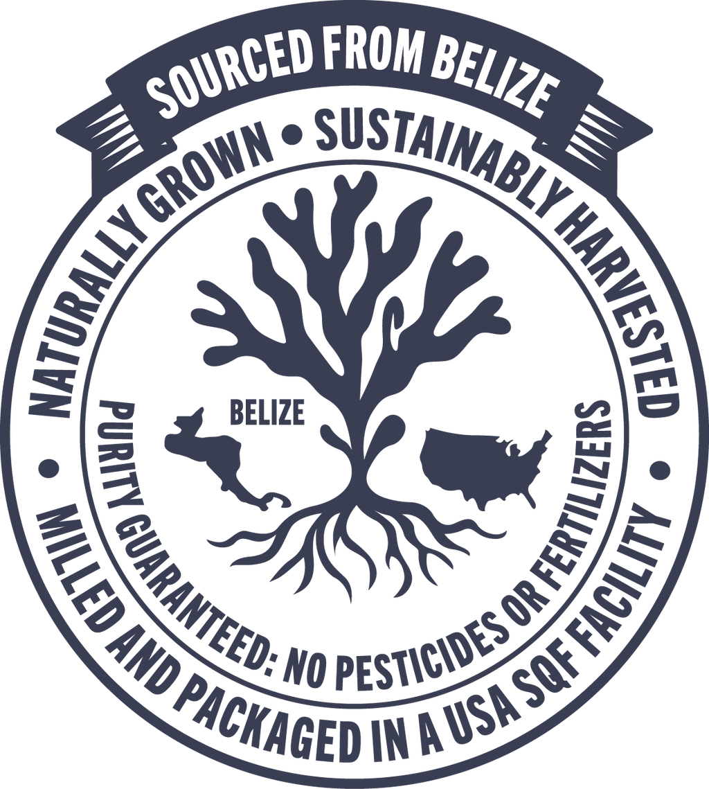 Belize Blue Nutrients Gold Sea Moss Trinity Blend 4oz