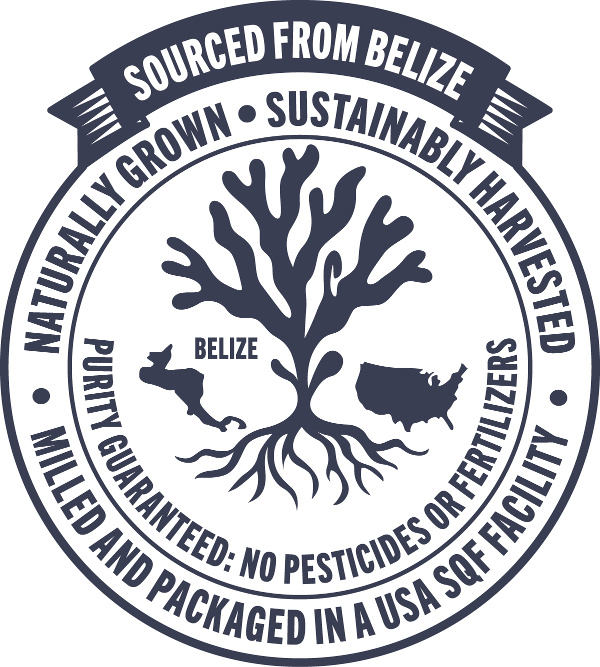 Belize Blue Nutrients Gold Sea Moss Trinity Blend 4oz