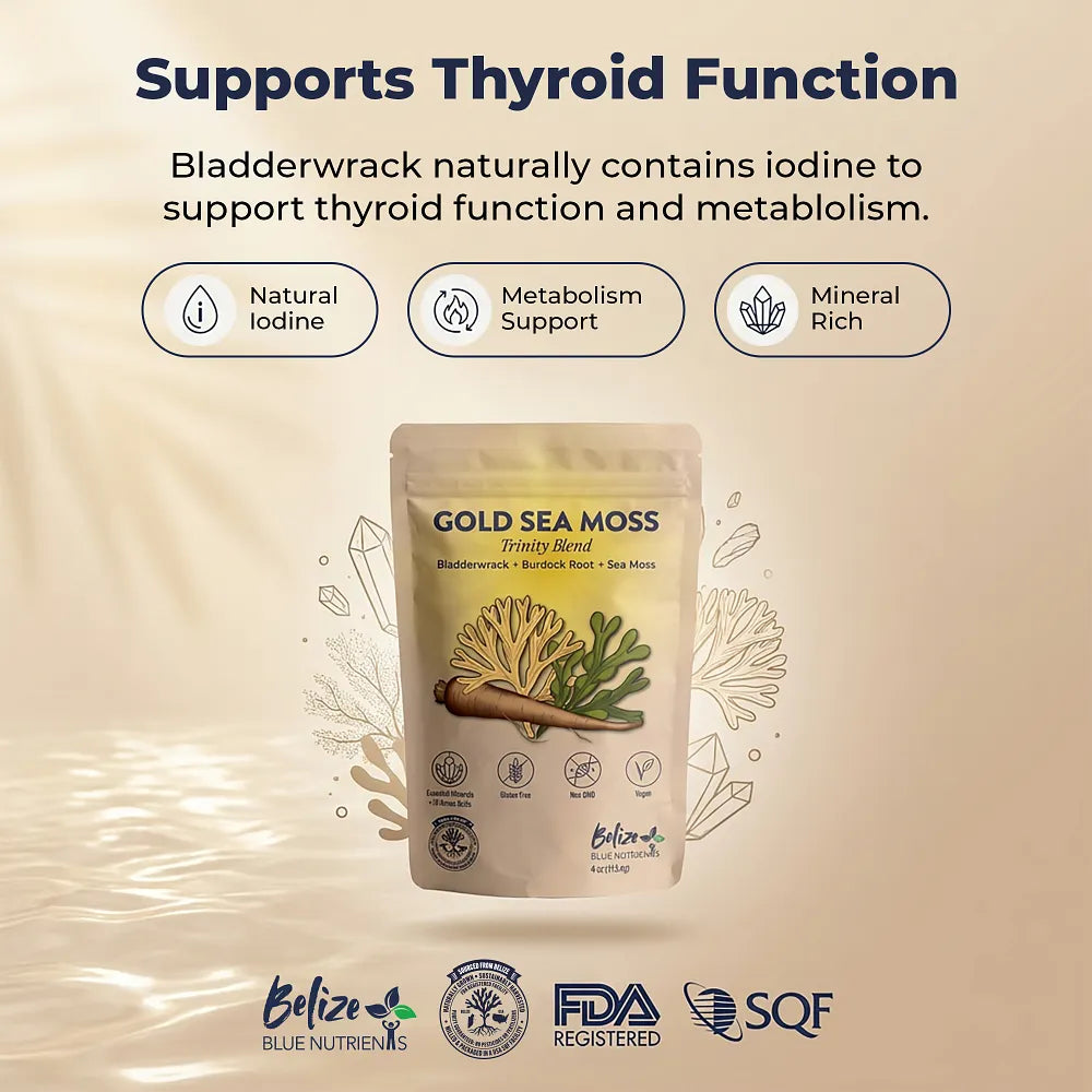 Gold Sea Moss package with text about thyroid function support on a beige background