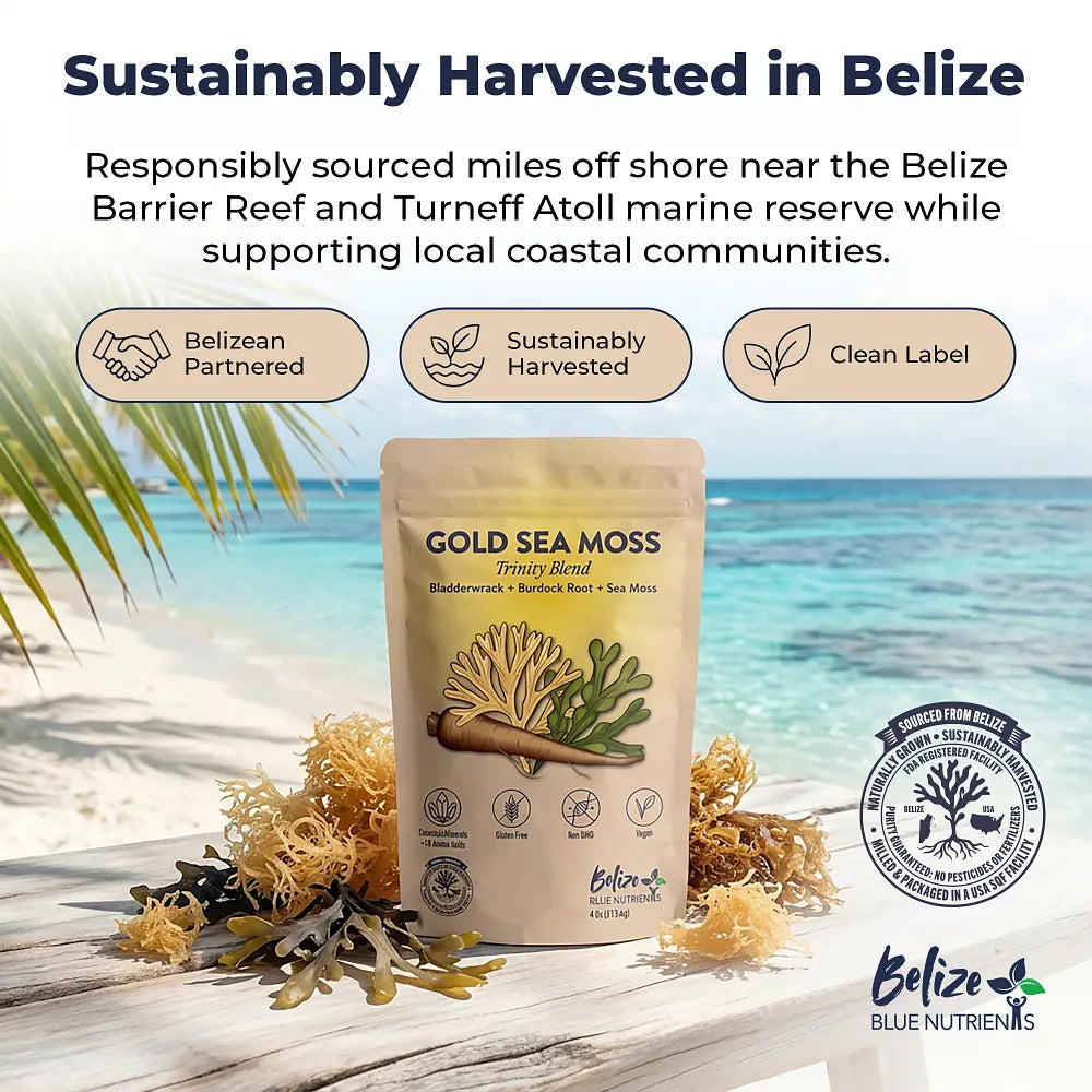 Gold Sea Moss package with Belize Barrier Reef and Turneffe Atoll in the background