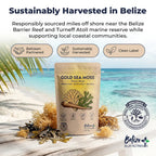Gold Sea Moss package with Belize Barrier Reef and Turneffe Atoll in the background